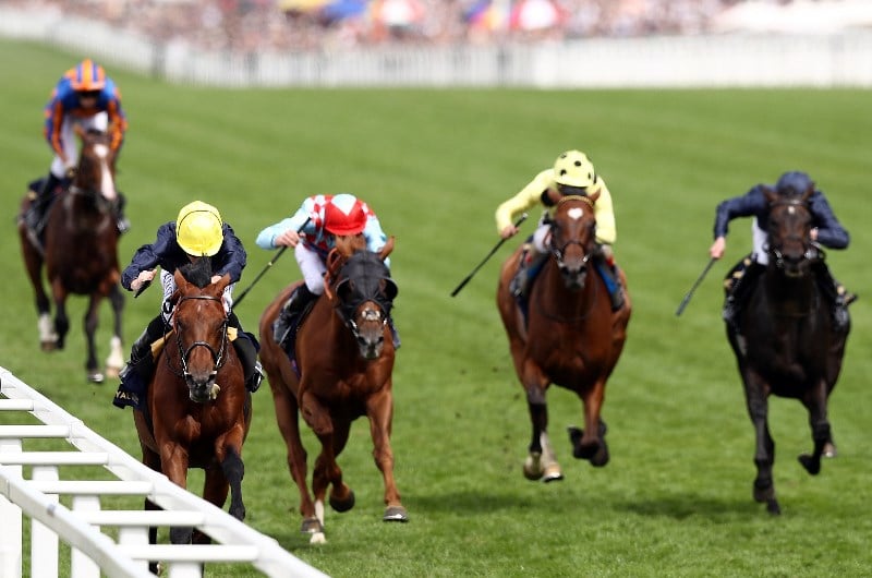 King George VI & Queen Elizabeth Stakes Tips & Betting Predictions